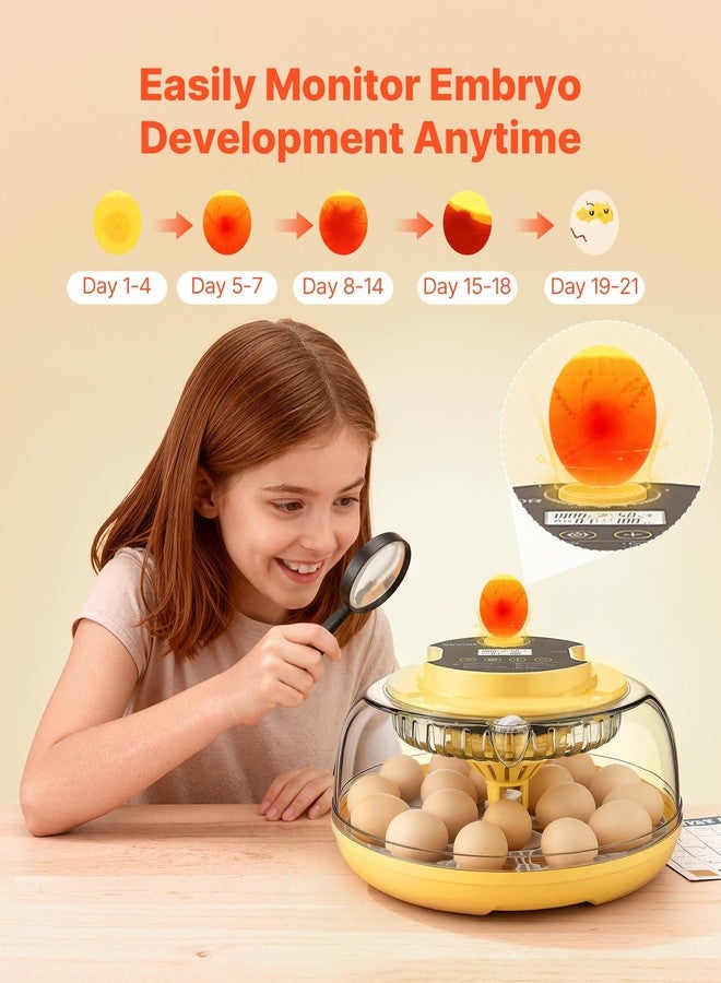 VEVOR 18 Egg Incubator, Automatic Egg Turner with LED Candler, Temperature & Humidity Control, 360° View Clear Window, Auto Water Refill, Poultry Eggs Incubators for Hatching Ducks Goose Quail - Image 5