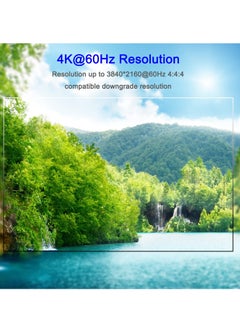 KASTWAVE Dual Monitor KVM Switch HDMI+DisplayPort 4K@60Hz/2K@120Hz - Switcher for Sharing 2 Monitors, 4 USB 2.0 Ports Among 2 Computers, Includes Wired Remote & 4 Cables  - Image 4