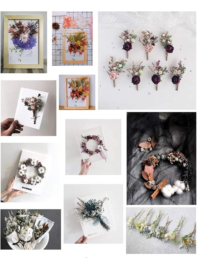 The Bros Dried Flower Dry Plants for Aromatherapy Candle, Premium Dried Pressed Leaves and Flowers Handmade DIY Dried Flowers for Candle Resin Jewelry Pendant Crafts Floral Decoration(1 Box) - Image 3