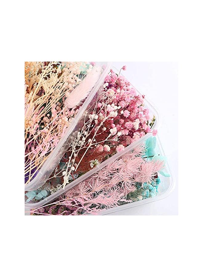 The Bros Dried Flower Dry Plants for Aromatherapy Candle, Premium Dried Pressed Leaves and Flowers Handmade DIY Dried Flowers for Candle Resin Jewelry Pendant Crafts Floral Decoration(1 Box) - Image 4