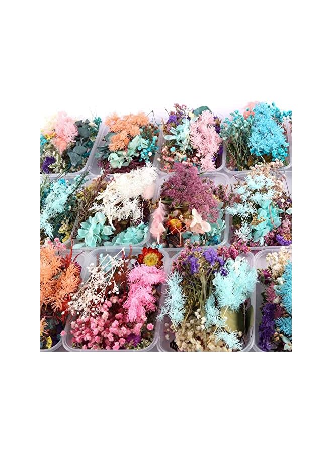 The Bros Dried Flower Dry Plants for Aromatherapy Candle, Premium Dried Pressed Leaves and Flowers Handmade DIY Dried Flowers for Candle Resin Jewelry Pendant Crafts Floral Decoration(1 Box) - Image 2