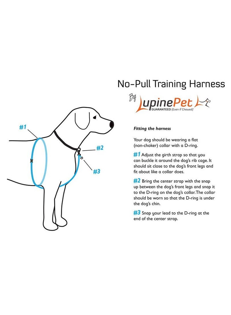 Lupine Dog Basic Solids No Pull Harness Belt Purple - Image 2