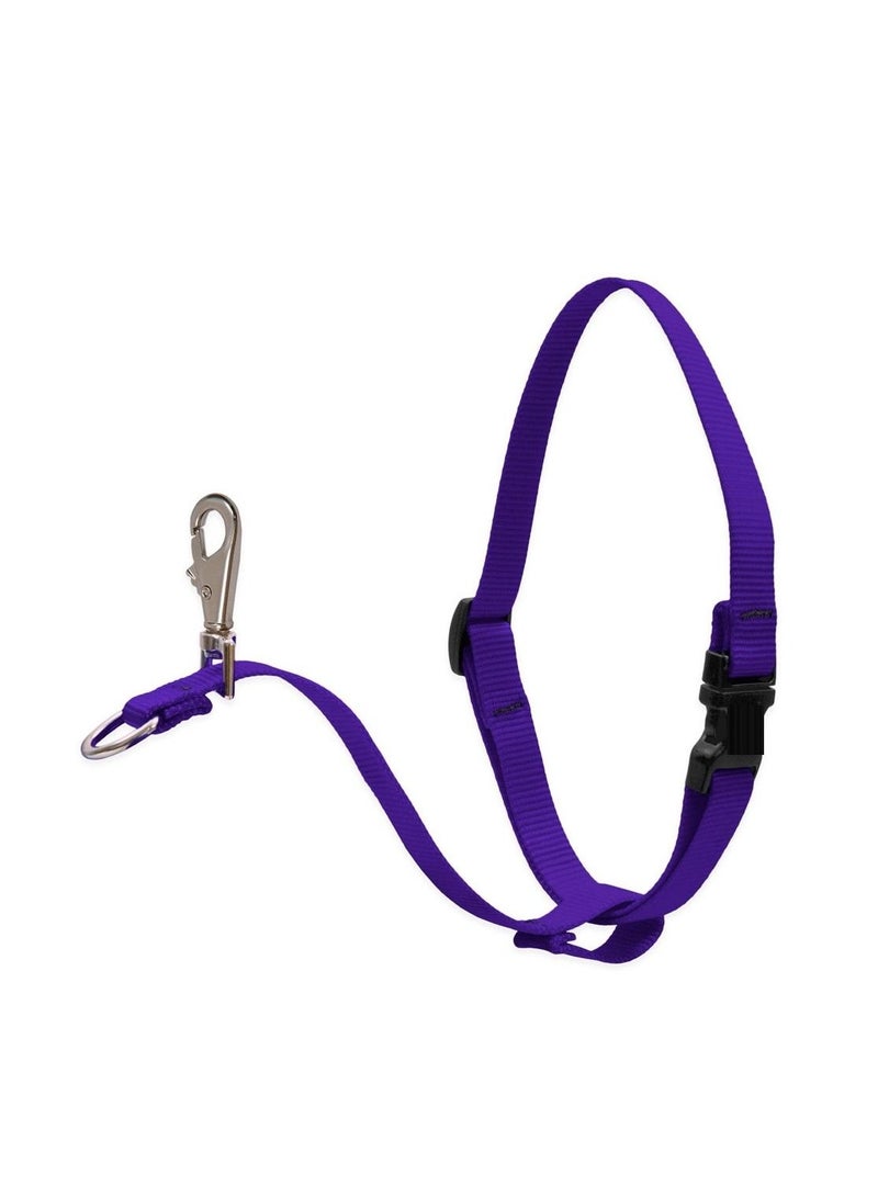 Lupine Dog Basic Solids No Pull Harness Belt Purple - Image 1