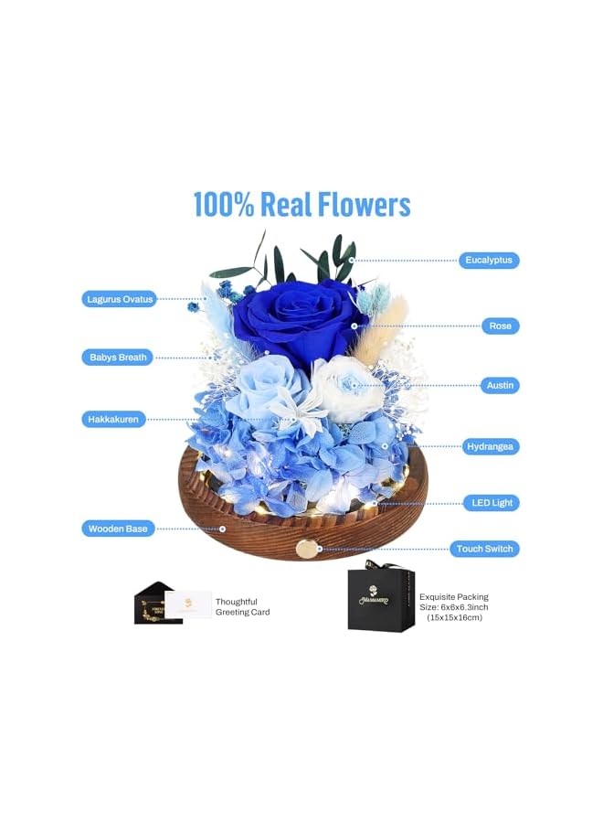 The Bros Preserved Roses in Glass Dome with LED Light - Long Lasting Real Flowers, Forever Flowers for Special Moments, Flowers Roses for Valentines Day Gifts, Mothers Day, Birthday Gifts for Women，Blue - Image 3