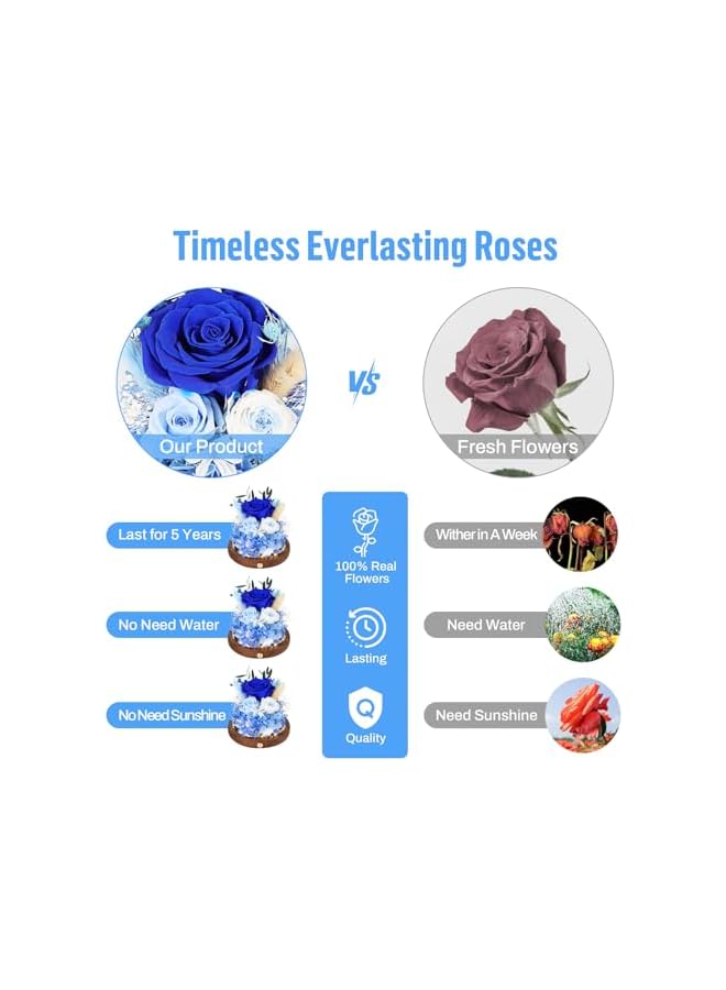 The Bros Preserved Roses in Glass Dome with LED Light - Long Lasting Real Flowers, Forever Flowers for Special Moments, Flowers Roses for Valentines Day Gifts, Mothers Day, Birthday Gifts for Women，Blue - Image 2