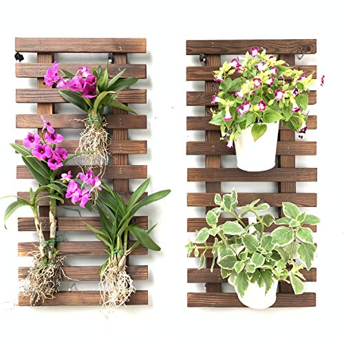 ShopLaLa Wall Planter - 2 Pack Wooden Hanging Planter for Indoor Plants Wall Mount Plant Stand Ladder Outdoor Vertical Garden Unique Live Orchid Planter Holder Display Large Wall Decor 23.6" (60cm) - Image 1