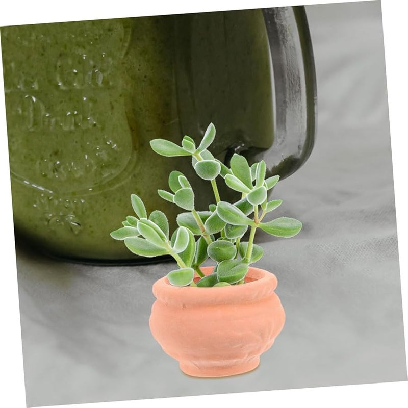Mini Terracotta Flower Pots For Succulents 2pcs Small Clay Planters With Drainage - Image 5