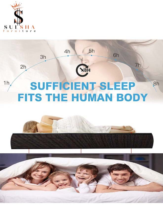 Premium Medical Mattress Queen Size 160x210x10 cm - pzsku/Z1ECA859D789EFAFF6FE5Z/45/_/1710418138/c84c56f5-5c67-4a6d-89a5-41b99474017b