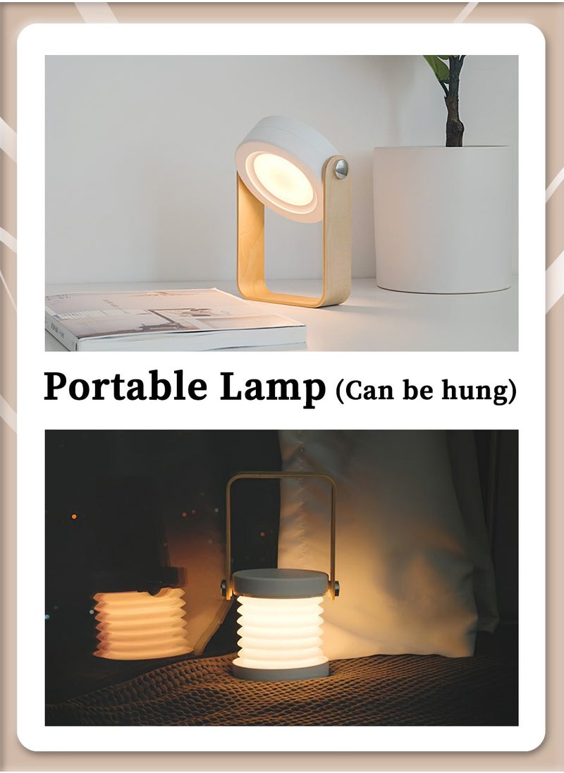 Rechargeable LED Desk Lamp