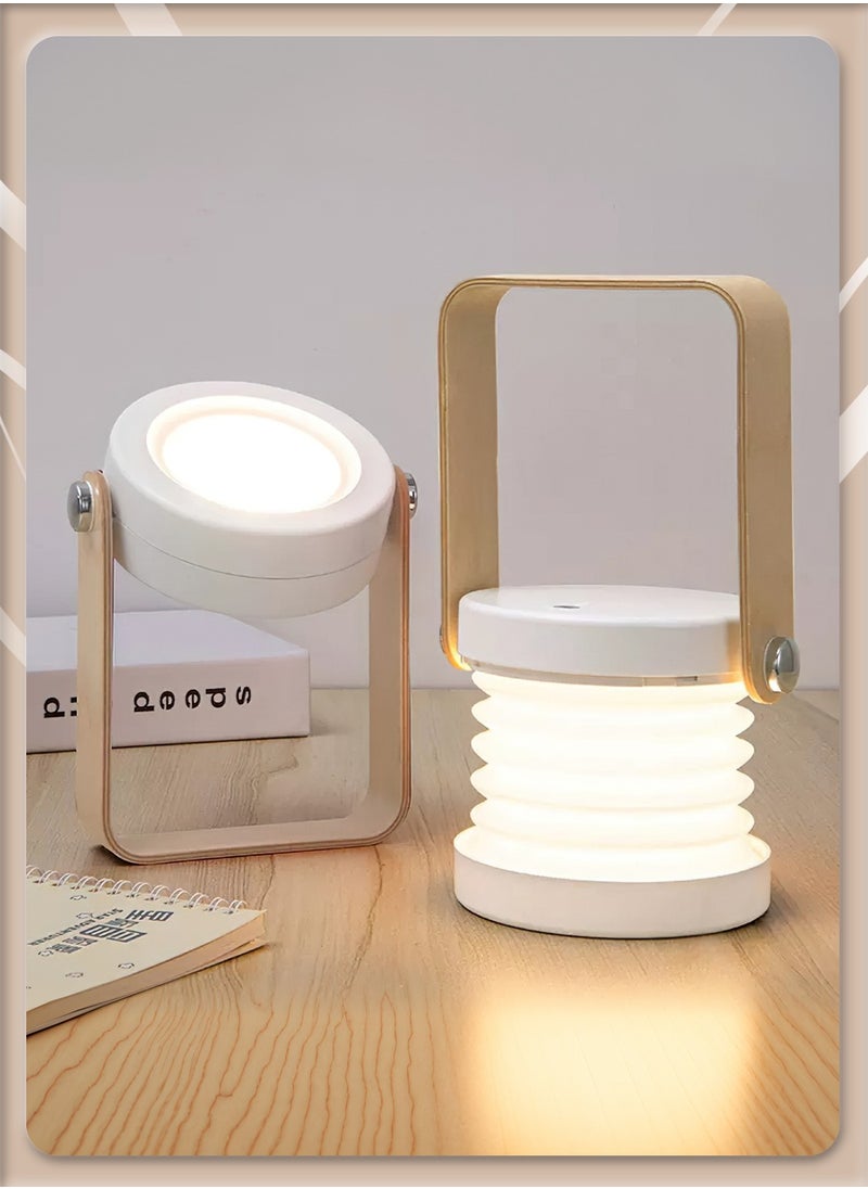 Rechargeable LED Desk Lamp