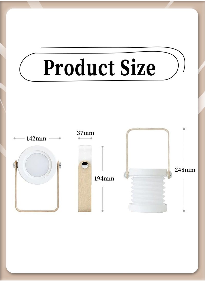 Rechargeable LED Desk Lamp