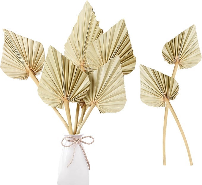 BOHO DRIED PALM LEAVES 10 PIECES 142 NATURAL PALM SPEARS AND FANS FOR FLOWER BOUQUET BOHO WEDDING HOME PARTY KITCHEN VASE FARMHOUSE TABLE ARRANGEMENTS AND ANNIVERSARY DECOR