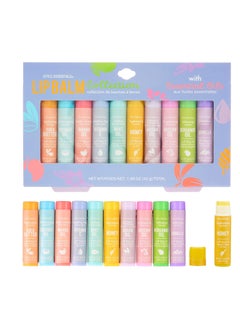 Expressions Expressions 10pc Lip Balm Collection -Hydrating Lip Balms Infused- Enriched Lip Balm Set  - Image 1