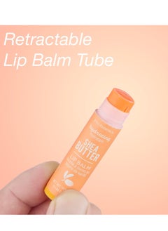 Expressions Expressions 10pc Lip Balm Collection -Hydrating Lip Balms Infused- Enriched Lip Balm Set  - Image 4