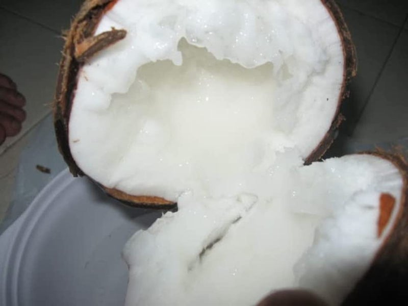 Floryn Decor 100 Pure Coconut Wax For Candle Making Candle Making Raw Material Diy Candle Making Pack Of 1 Kg White - Image 1