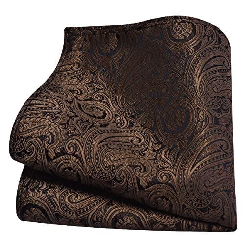GUSLESON Mens Brown Tie for Wedding Silk Paisley Necktie Pocket Square Cufflinks and Lapel Pin Brooch Set (IN6103-27) - Image 4