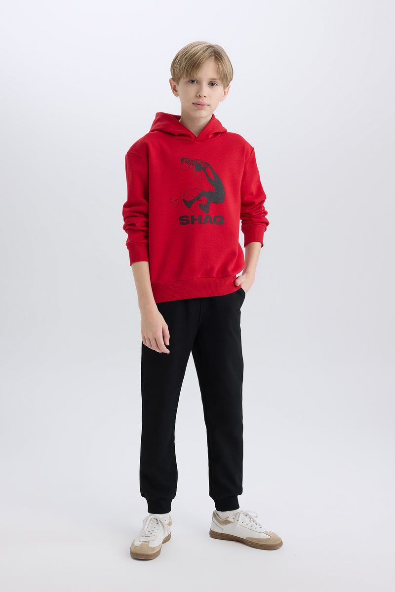 DeFacto Boy Shaquille O'Neal Hooded Thick Sweatshirt  - Image 4