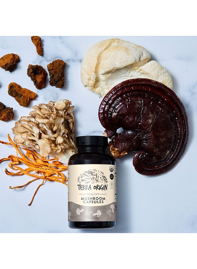 Terra Origin Healthy Mushroom Capsules ; Certified Usda Organic ; 90 Veggie Caps ; Reishi Mushroom Lions Mane ; Potent Immune Support & Nootropic Brain Supplement ; - Image 4