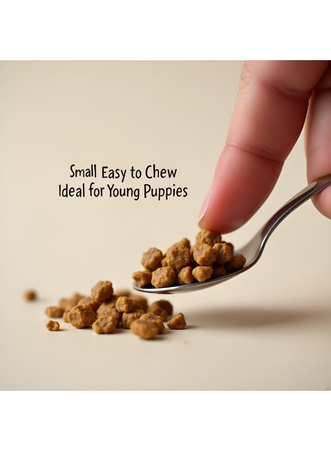 Winner Plus Super Premium Puppy Starter | Natural and Gluten Free Complete Feed | Puppies All Breeds |  3 Kg - Image 3