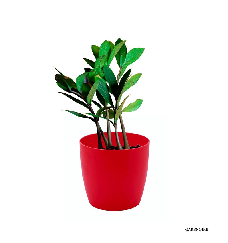 garbnoire Gardening Flower Pots - 4.4 Inch Plastic Flower Pots | Modern Decorative Indoor Outdoor Planters/Pots - Pack of (Red, 3) - Image 3