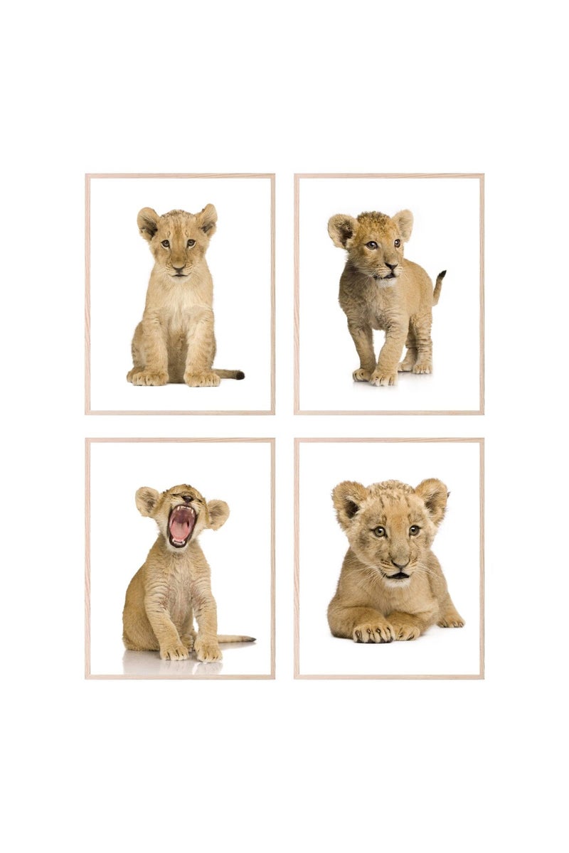 Insire Baby Lion Wall Art Animal Wall Art Cub Lion Poster - Set of 4 (8x10) - Image 1