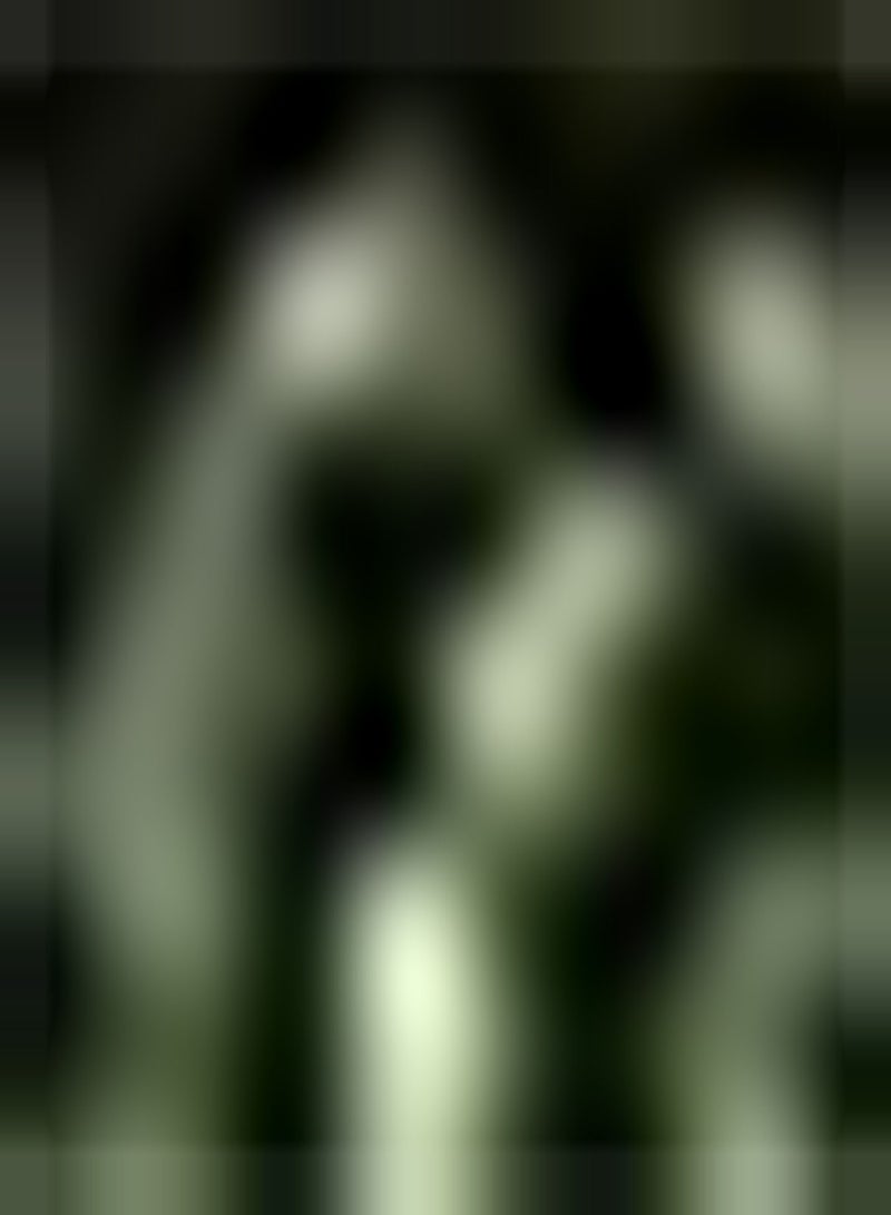 GGOOT 30Stück Bitterkürbissamen Spezielle Sorten Hoher Nährwert Natürliches Wachstum Gemüsekulturen im Garten Einfach zu handhaben - Image 2