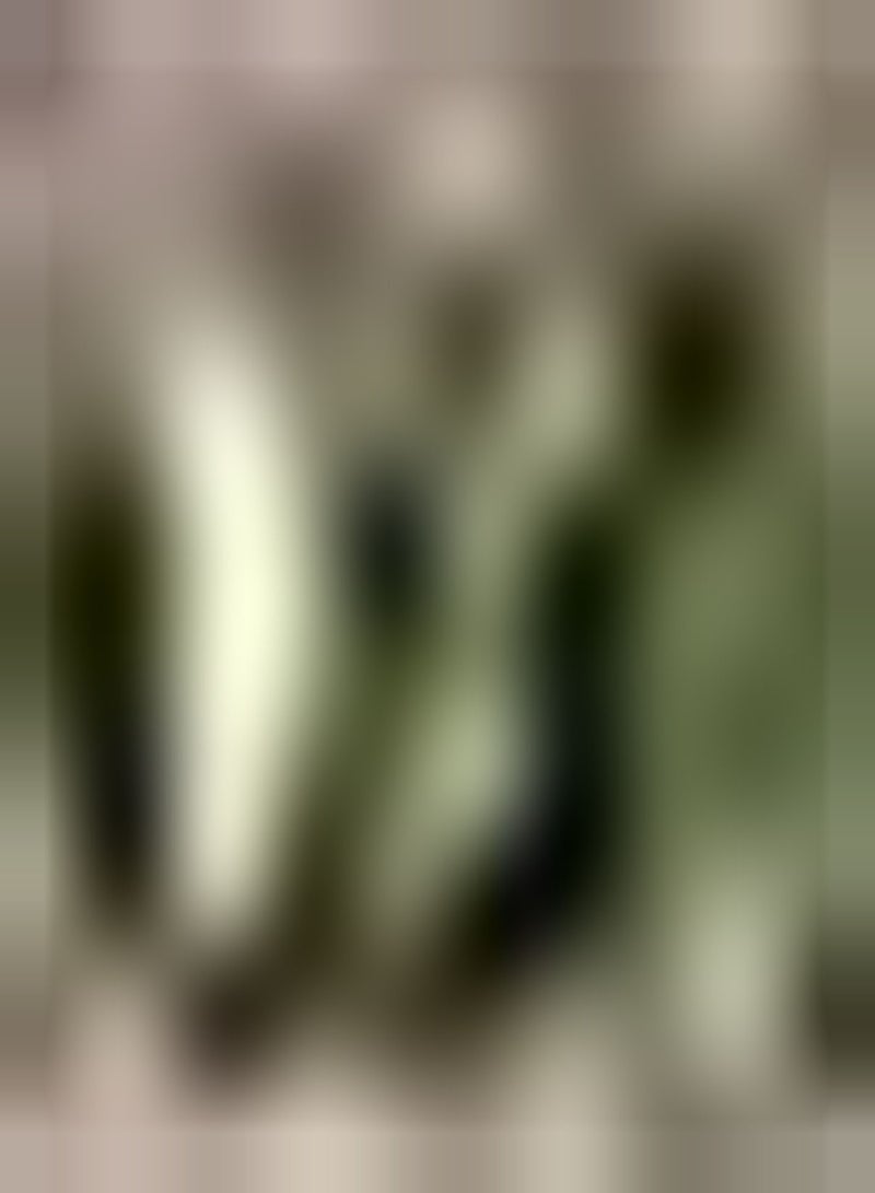 GGOOT 30Stück Bitterkürbissamen Spezielle Sorten Hoher Nährwert Natürliches Wachstum Gemüsekulturen im Garten Einfach zu handhaben - Image 3