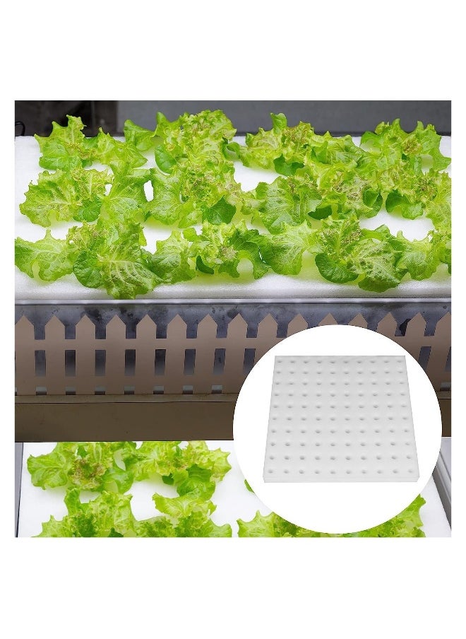 Hydroponic Sponge Planting Tool, Soilless Cultivation Seedling Square Sponges for Small Bud Growth, 4 Sheets