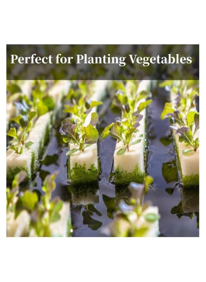Hydroponic Sponge Planting Tool, Soilless Cultivation Seedling Square Sponges for Small Bud Growth, 4 Sheets