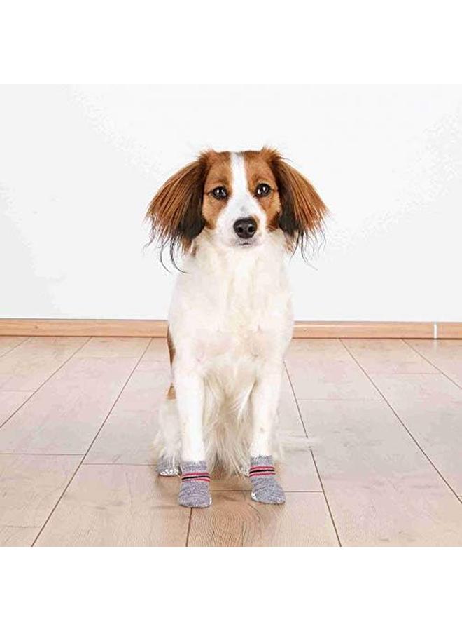 Trixie Anti Slip Dog Socks L Xl Grey - Image 4