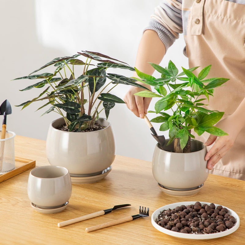 vancasso أواني زراعة سيراميك فانساسو 3 عبوات، 3.7/4.8/6.2 بوصة، أواني داخلية مع صحون وفتحة تصريف لأواني الزراعة للنباتات الداخلية والزهور، رمادي - Image 4
