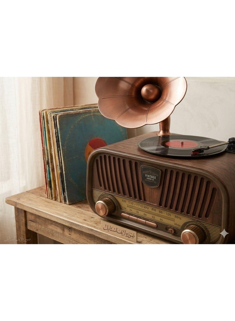 Vintage Retro Radio with Mini Gramophone – Bluetooth Speaker, USB Flash Drive, TF Card, FM/AM Radio – Wooden Classic Design - Image 5