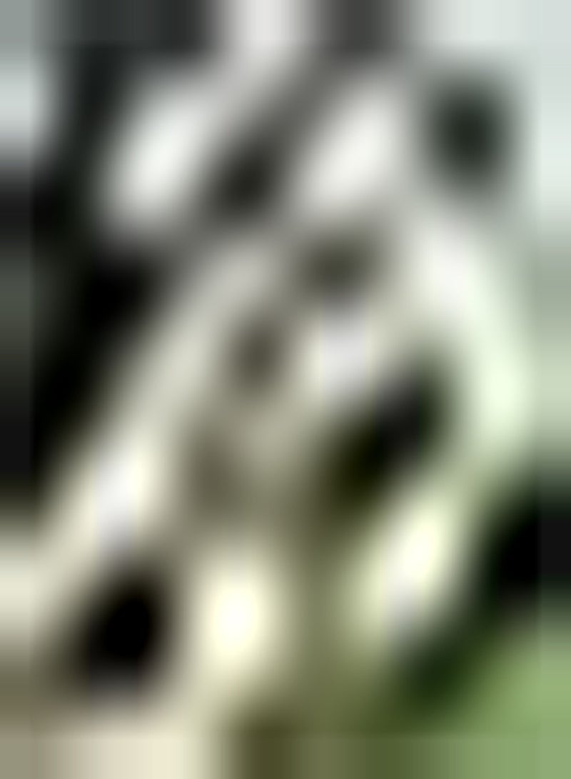 جي جوت 3 قطع Calla Leliebollen في ألوان جميلة مع شكل فريد من نوعه Brengen EEN gevoel Van voldoening DIY Tuin Cultiveer Interesse في Het Planten Van Calla Bollen - Image 1