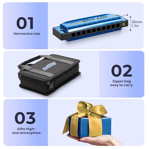 East top Harmonica Set, 7 Keys Diatonic Mouth Organ with Case, A, B, C, D, E, F, G, Professional, Bronze Reed, Polished Finish - Image 5