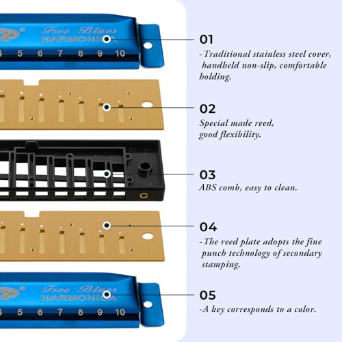 East top Harmonica Set, 7 Keys Diatonic Mouth Organ with Case, A, B, C, D, E, F, G, Professional, Bronze Reed, Polished Finish - Image 2