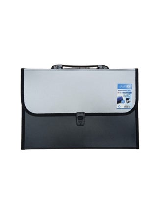 13 Pocket Expending File W/Handle Full Scape Metallic Opaque Silver/Black - pzsku/Z1ED93FA4A9AB604C5FA4Z/45/_/1709653122/7ba27fe1-cdc1-4f2c-b10b-c54393edf609