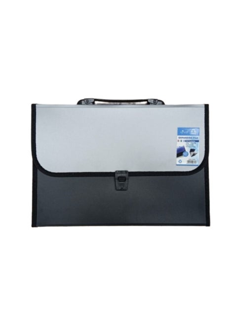 13 Pocket Expending File W/Handle Full Scape Metallic Opaque Silver/Black