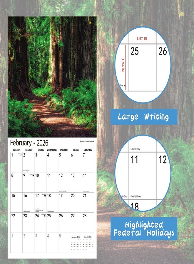windrio 2026 Wall Calendar,Calendar 2026, November 2025 - December 2026, Wall Calendar National Parks, 12" x 24" Opened,Full Page Months Thick & Sturdy Paper for Calendar Organizing & Planning - Image 3