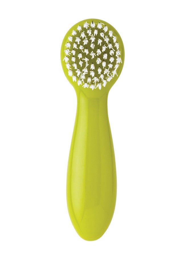 Joie Potato Scrub Brush, Ergonomic Easy Grip Handle, Ideal for Cleaning Vegetables and Fruits, Small and Compact, Handy Kitchen Gadget, BPA-Free, Dishwasher Safe, Green - Image 2