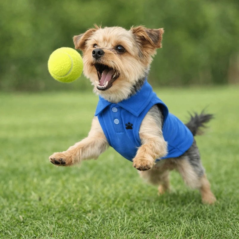 Casual Breathable Pet Dog Short Sleeve Shirt - Image 4