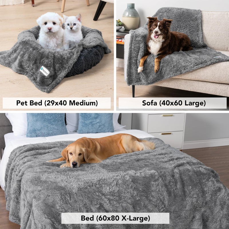 PetAmi Dog Blanket for Small Dogs Grey, Fluffy Soft Puppy Blanket, Sherpa Fleece Cat Blanket for Kitten Doggie, Calming Pet Blanket Throw for Couch Sofa Bed Washable, Small 24x32 - Image 5