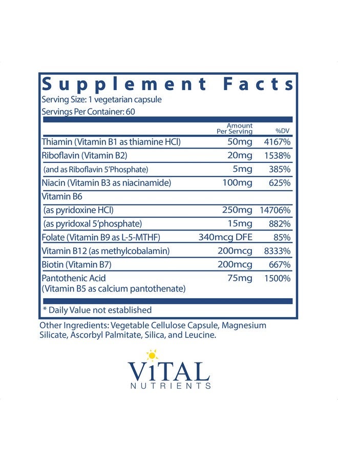 Vital Nutrients B6 + Super Bcomplex Balanced Vitamin B Complex Formula With Extra B6 60 Vegetarian Capsules Per Bottle - Image 3