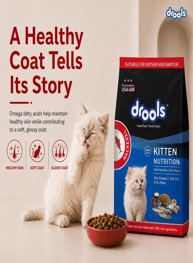 Drools Kitten Dry Cat Food, Mackerel Flavour 1 kg with Free Container Pack - Image 3