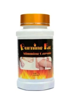 Burnang Fat (Bernang Fat) - pzsku/Z1EDEB93BE10465D2E780Z/45/_/1739472499/dd9c7c19-05fa-4ba3-ac25-7d86fb5eedb6