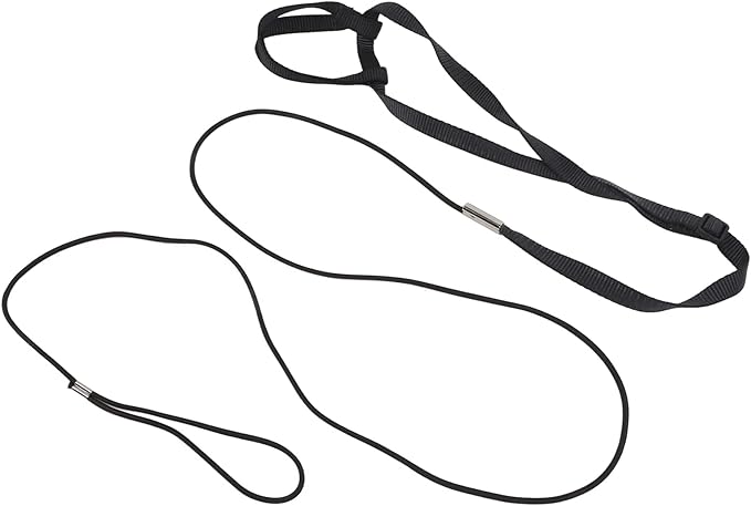 Adjustable Nylon Bird Harness Leash For Cockatiels Outdoor Training With Elastic Rope Metal Buckle Black XL - Image 1