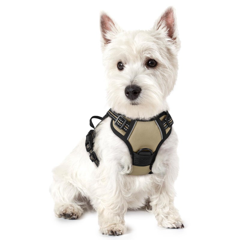 rabbitgoo Dog Harness No Pull with 2 Leash Clips, Adjustable Soft Padded, Reflective Oxford No Choke Pet Vest with Easy Control Handle for Puppy, Beige, XS - Image 1