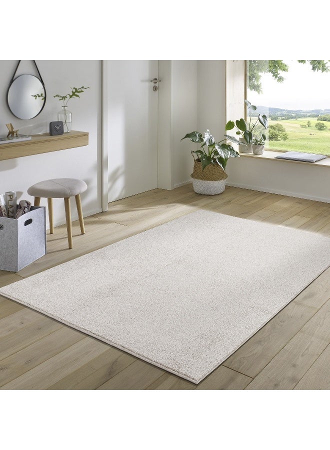 Home Box سجادة أورا washable بولي بروبيلين 220 × 150 سم - Image 1