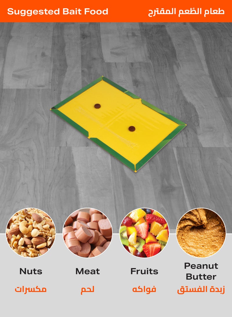 LAWAZIM Rat Lure Traps Set of 5 -17x21.5cm- Strong Adhesive Disposable Mouse Glue Pad Board Sheet for Indoor Outdoor Use - Effective Pest Insects Flies Mice Control for Homes Kitchens Garages Offices - Image 5