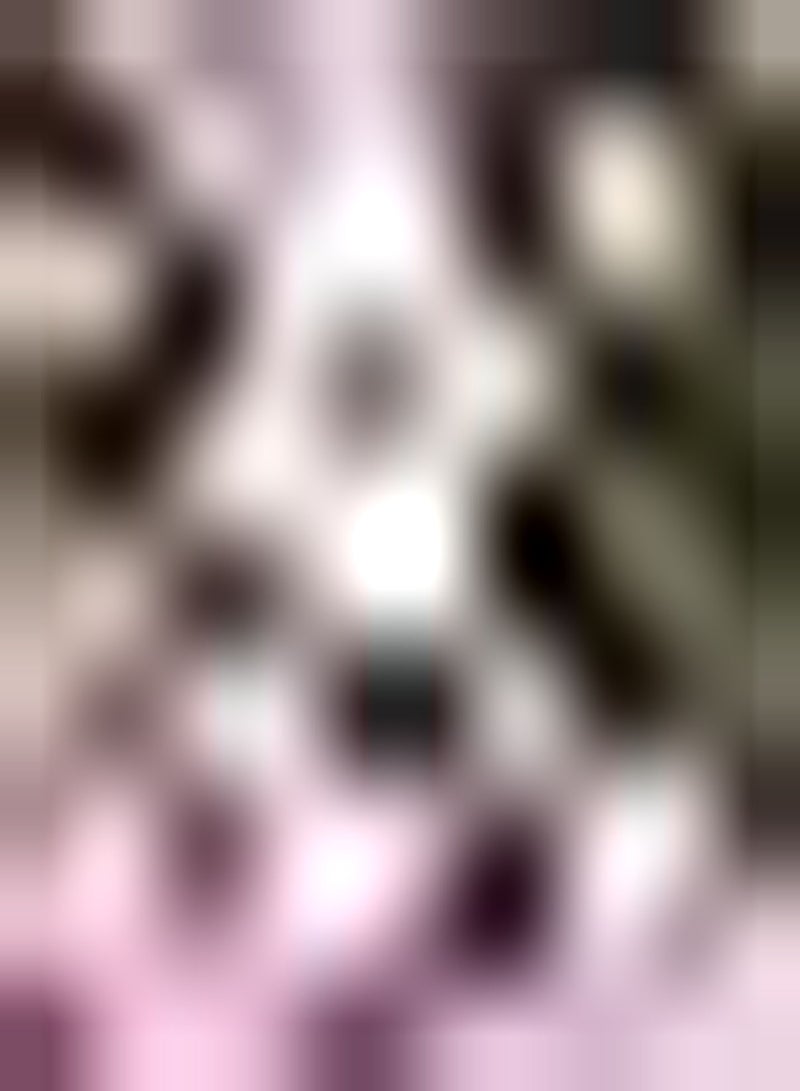 GGOOT 6pcs Pink Zephyranthes Seeds Easy Care for Garden Flower Seeds Cultivate Planting Interest Create Beautiful Environment Craft Art Decoration Special Variety - Image 1