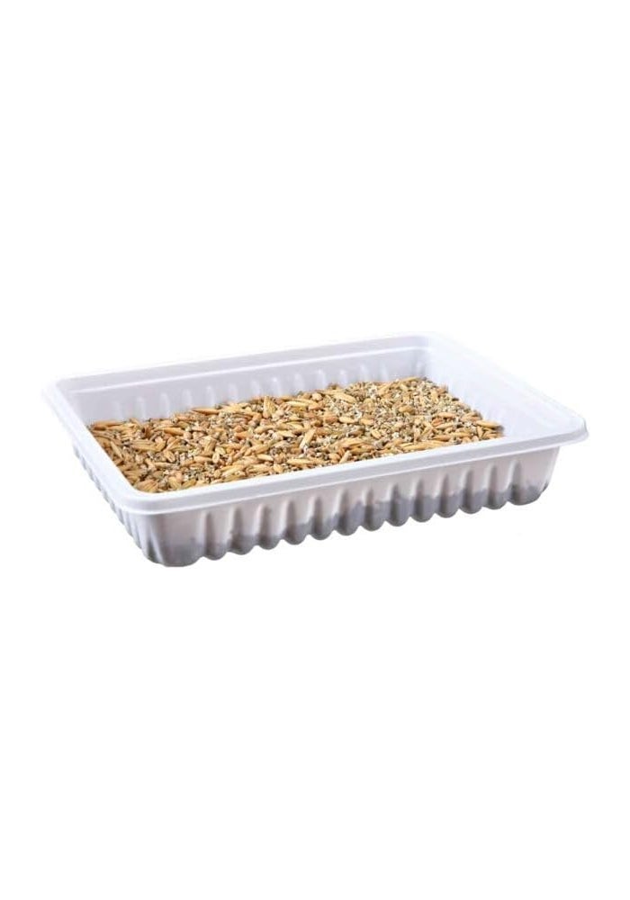 Trixie Small Animal Grass Treat for Small Pets - 100G - Image 2